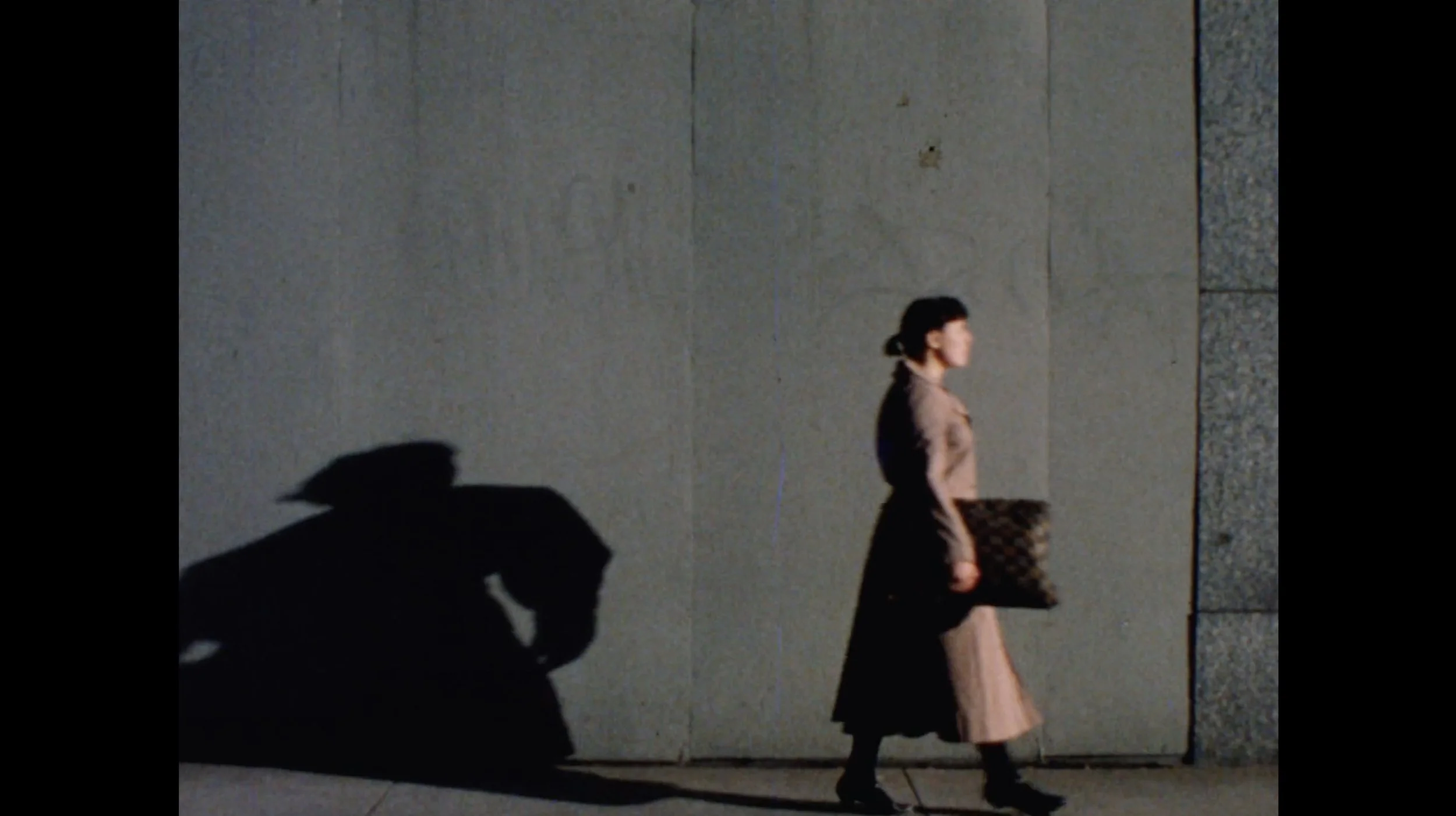 洋書 Bizarre Sinema! Sexploitation Filmmakers Amazon.com: Nightmare City (Incubo Sulla Citta Contaminata